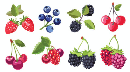 Berries set. Cherry black currant raspberry gooseberr