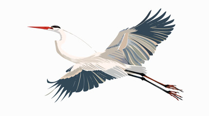 Fototapeta premium Bird flying. Feathered crane heron in flight