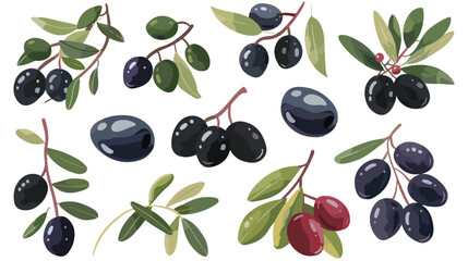 Black olive fruits. Fresh Greek berries. Italian oil