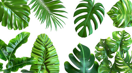 A collection of green leaves, including palm leaves, are arranged in a row - obrazy, fototapety, plakaty