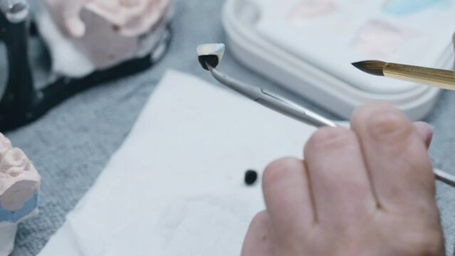 A dental technician paints a ceramic crown with a brush and dental paints. Close-up
