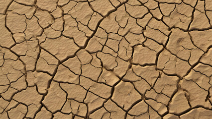 Desert Landscape: Cracked Earth Reveals the Power of Drought 