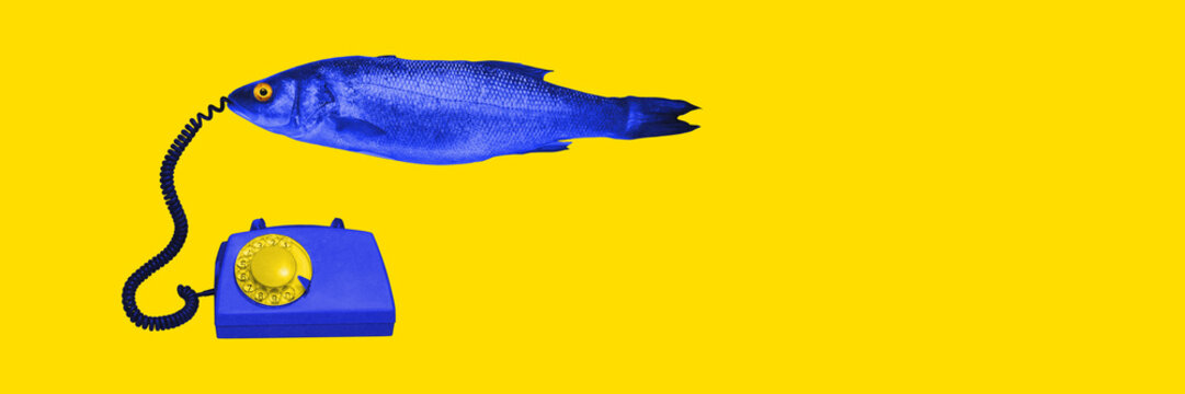 Blue fish with retro telephone on bright yellow background. Contemporary art collage. Telecommunication services, quirky communication. Concept of surrealism, pop art, creativity, imagination. Banner