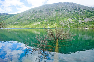 Multinskiye lake, Altai. Russian nature