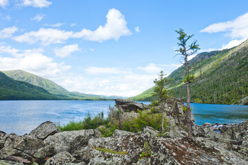 Trees and rocks near Multinskoe lake, Altai