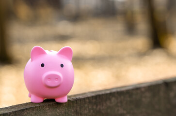 A pink piggy bank stands on the fence outdoor. Financial savings and business concept. Income, budget and profit of the company.
