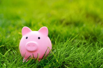 A pink piggy bank in a green grass. investments in a nature and environment. Financial savings and business concept. Income, budget. Copy space
