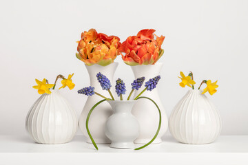 Still life in white, with white vases and white background with spring flowers, tulips, narcissus...