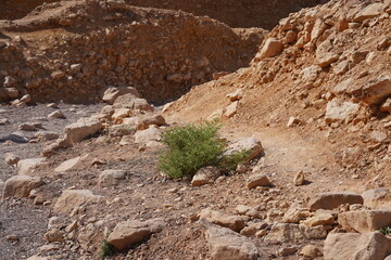 Closeup of rocks in Red Canyon, Geological nature park, near Eilat, Israel