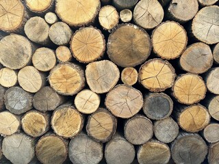 Round timber in a stack, blanks from chopped tree trunks. Background texture - stacked firewood...