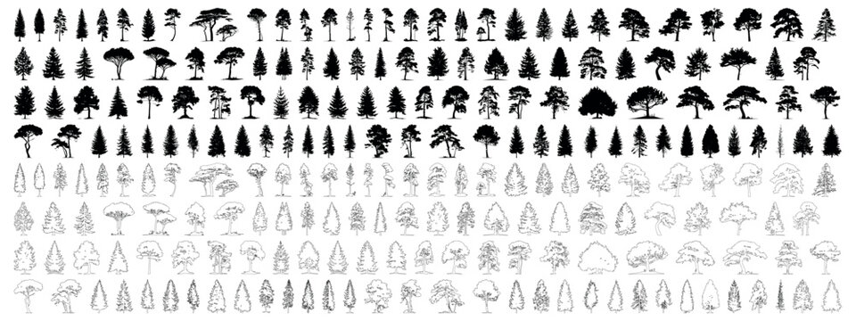 Mega set of fir trees. Pine tree silhouette stroke outline and filled. 224 tree elements icon symbol for architecture and landscape design drawing Vector isolated illustration on transparent eps 10