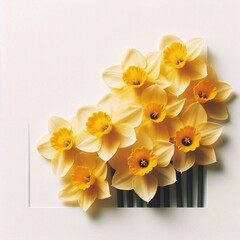 Obraz na płótnie Canvas daffodils flower