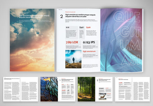 Data Presentation Brochure with Mix of Visual Elements