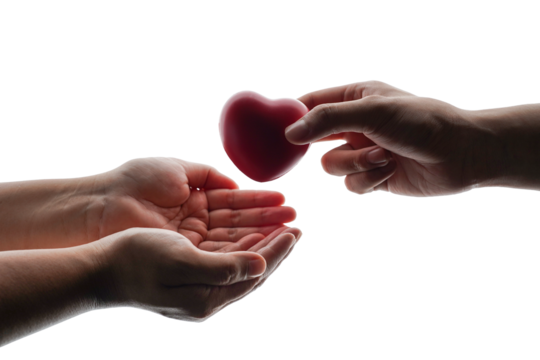 Adult hands giving a red heart, health care, organ donation, family life insurance, world heart day, world health day, praying concept - Powered by Adobe
