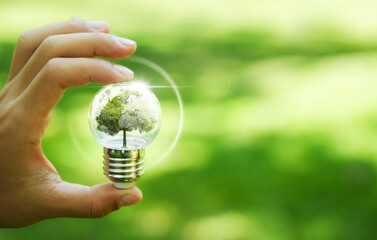 Light bulb in hand with plant inside green background Protect the environment keep the world clean...