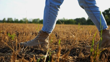 Female feet of farmer going through the wheat meadow at sunset. Legs of agronomist in boots walking among barley plantation at dusk. Concept of agricultural business. Slow motion