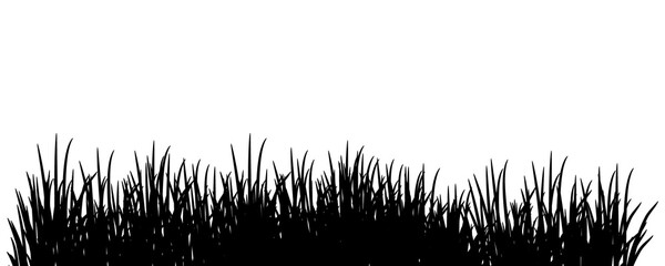 Black silhouettes of grass isolated on transparent background.