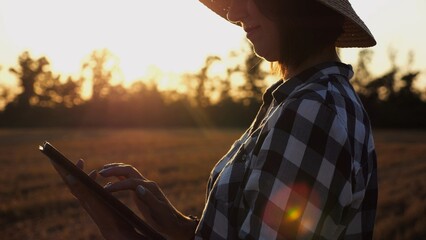 Female agronomist using digital tablet at wheat meadow at dusk. Farmer monitoring harvest at barley field at sunset. Beautiful scenic landscape. Concept of agricultural business. Slow mo