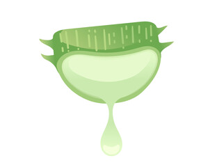 Aloe vera with juice drop green plant ready for medical treatment vector illustration isolated on white background