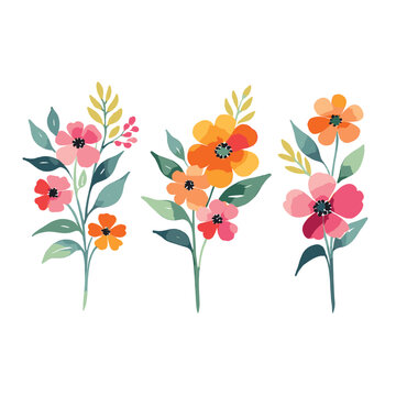 Watercolor Floral Colorful Flowers Collection