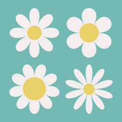White chamomile daisy. Camomile icon set. Cute round flower head plant collection. Growing concept. Love card. Simple abstract sign symbol shape. Flat design. Isolated. Green background. Vector