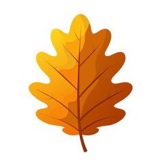 Fototapeta premium orange autumn oak leaf on white background