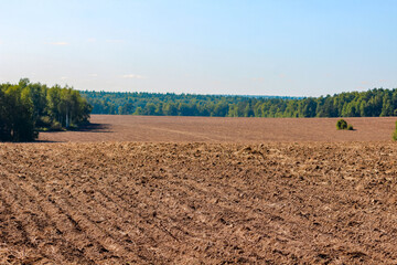 Agricultural field, plowed land in August - obrazy, fototapety, plakaty