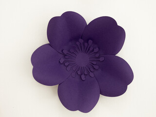 Ballerina gracefully poised at the ballet barre in a sunlit studio, practicing her pirouettes and perfecting her form amidst the serene ambiance of the dance sanctuary   © Alena