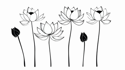 Lotus flowers icon. The black line drawn on a white