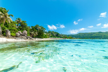Tropical beach under a blue sky. Seychelles
