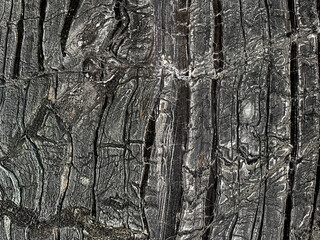 Open pore black rustic wooden marble texture with incredible wooden veins and grains in 3d contour. Seamless texture.