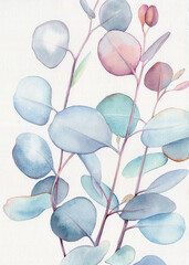 Watercolor floral illustration  - green leaf branches collection, for wedding stationary, greetings, wallpapers, fashion, background. Watercolor eucalyptus leaves and branches 