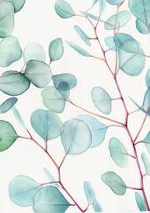 Watercolor floral illustration  - green leaf branches collection, for wedding stationary, greetings, wallpapers, fashion, background. Watercolor eucalyptus leaves and branches 