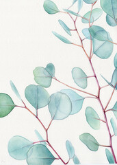 Watercolor floral illustration  - green leaf branches collection, for wedding stationary, greetings, wallpapers, fashion, background. Watercolor eucalyptus leaves and branches 