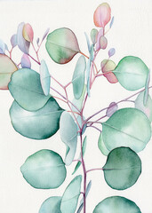 Watercolor floral illustration  - green leaf branches collection, for wedding stationary, greetings, wallpapers, fashion, background. Watercolor eucalyptus leaves and branches 