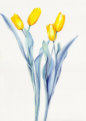 bouquet of yellow tulips