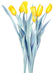 A bouquet of yellow watercolor tulips on a white background