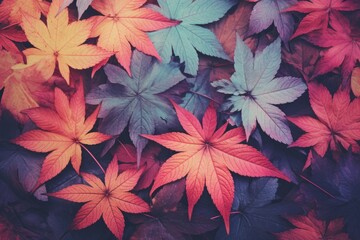 colorful autumn leaves vintage background