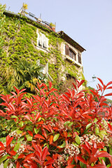  Vintage house in french village Saint-Paul-de-Vence, France