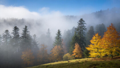 Germany's Autumnal Gem: Black Forest Unveils Its Mystical Beauty Amidst Veils of Fog - Powered by Adobe