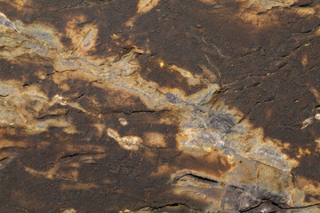 A macro shot of a rock at a close distance. Showing extreme detail and minerals that are in the rock.