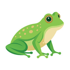 Frog flat vector illustration, a frog vector art illustration white background