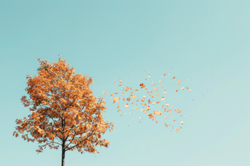 Autumn leaves gently falling from a solitary tree against a clear blue sky. The minimalist composition, with just the tree and leaves in the frame