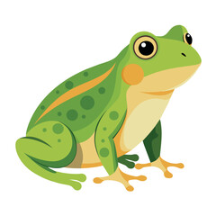 Frog flat vector illustration, a frog vector art illustration white background