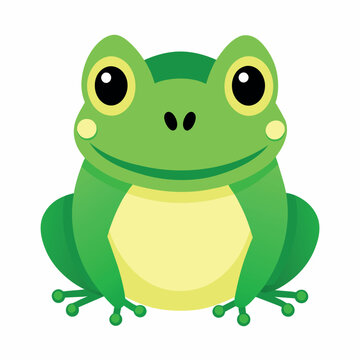 Frog flat vector illustration, a frog vector art illustration white background