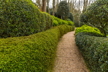 green hedge and topiary