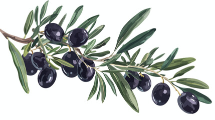 Olive tree branch with black fruits and leaves. Medit