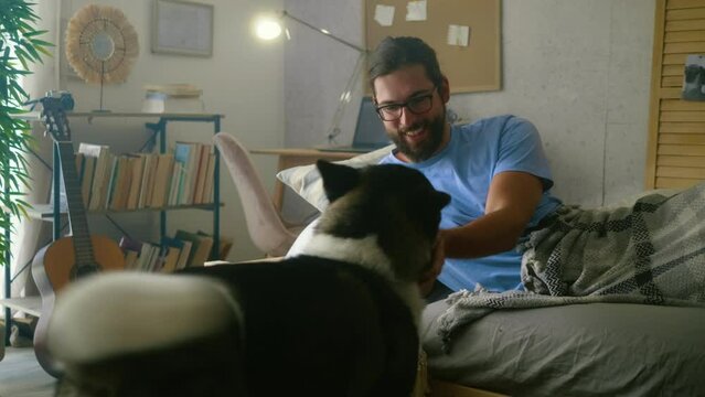 A young man lying in bed using the phone and petting his dog in the morning. Doga an owner morning routine
