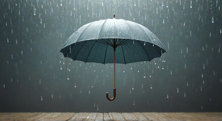 umbrella and rain