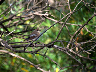 area naturale protetta